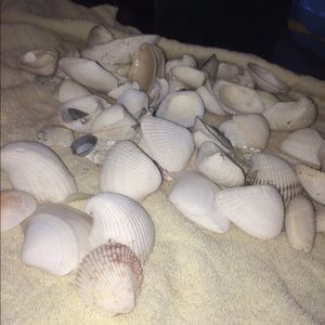 Meet your Posher, Alysa